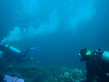 Divers