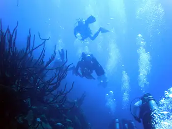 Divers