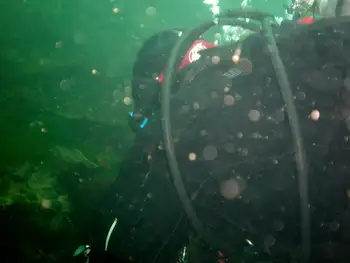 Diver