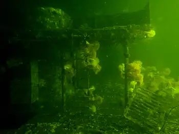 Ship Wreck