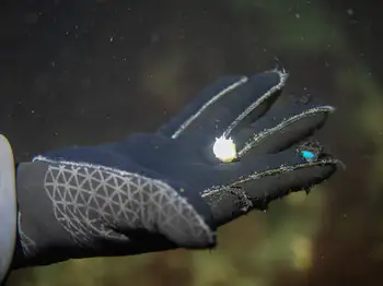 diver