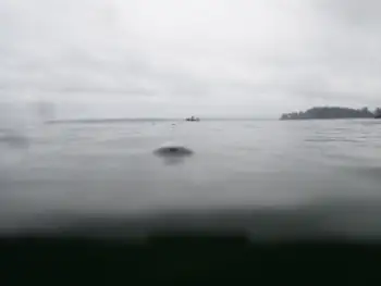 Dive Site