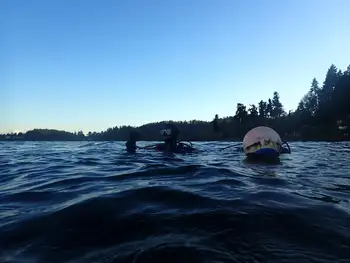 Diver