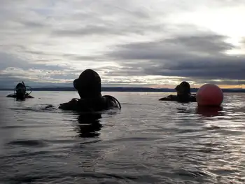 Divers