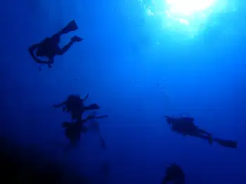 Divers