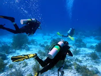 Divers