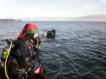Divers
