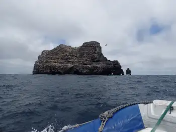 Dive Site