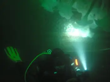 Diver
