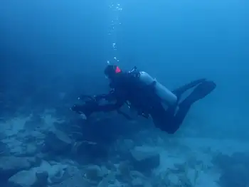Diver
