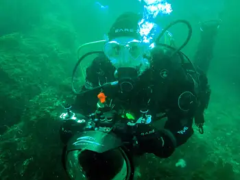 Diver