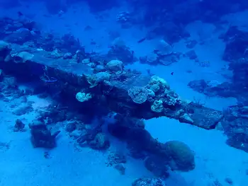 Barge Wreck