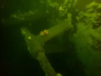 Ship Wreck