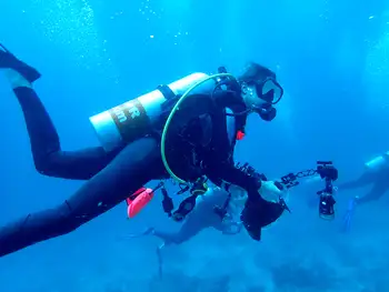 Diver