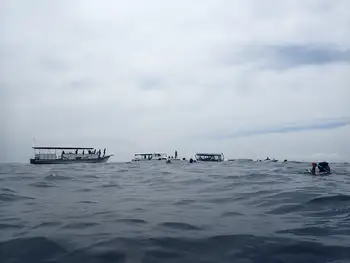 Dive Site