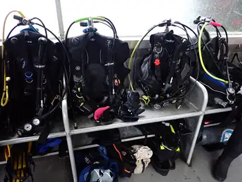 Scuba Gear