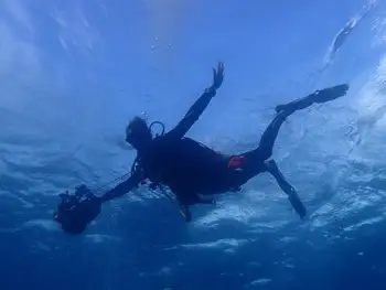 Diver