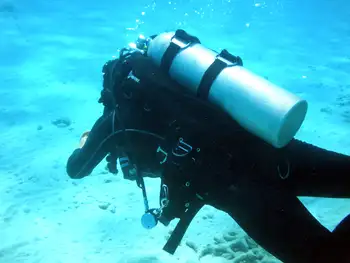 Diver