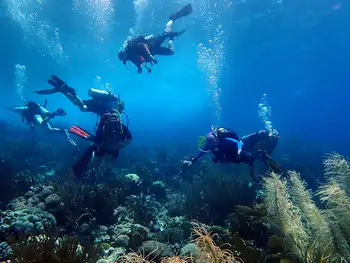 Divers