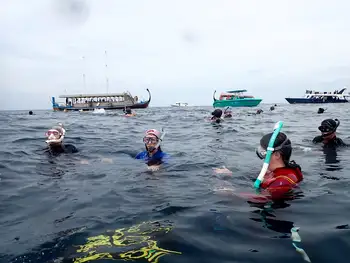 Snorkelers