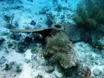 Ship Wreck